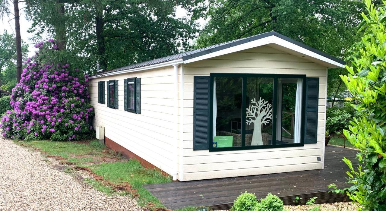 Sunnychalet 贝克贝亨 外观 照片